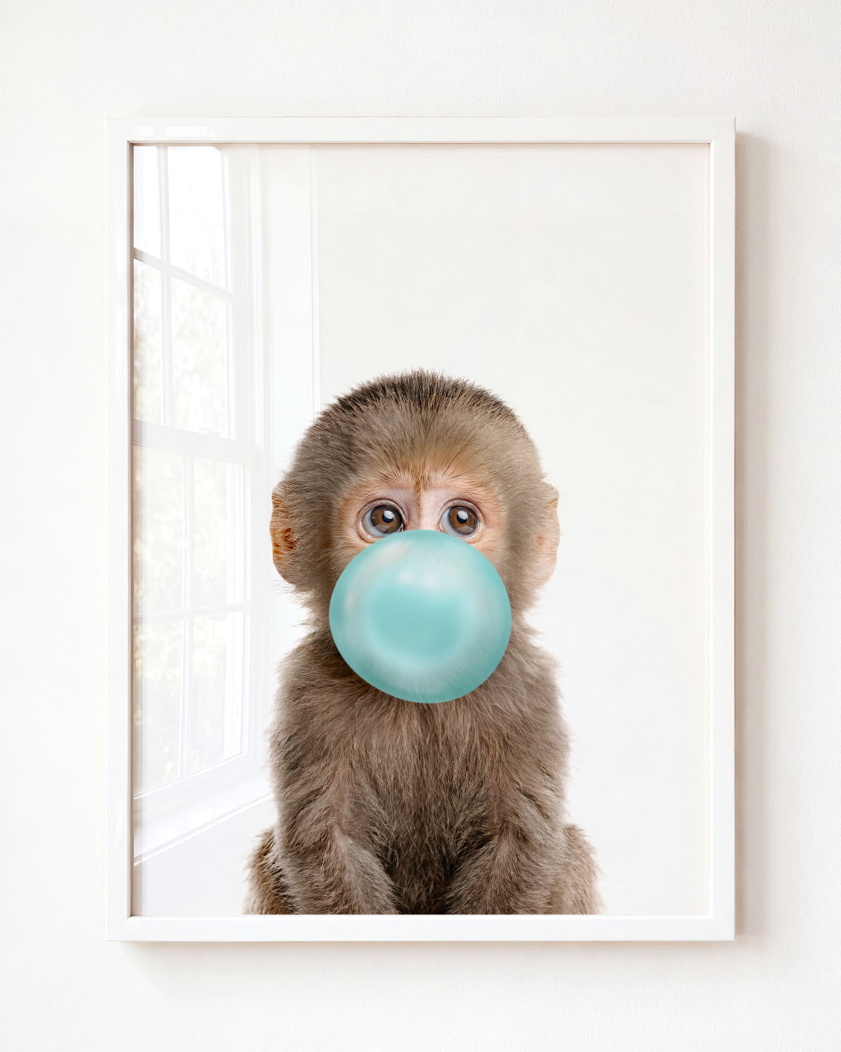 Baby Monkey