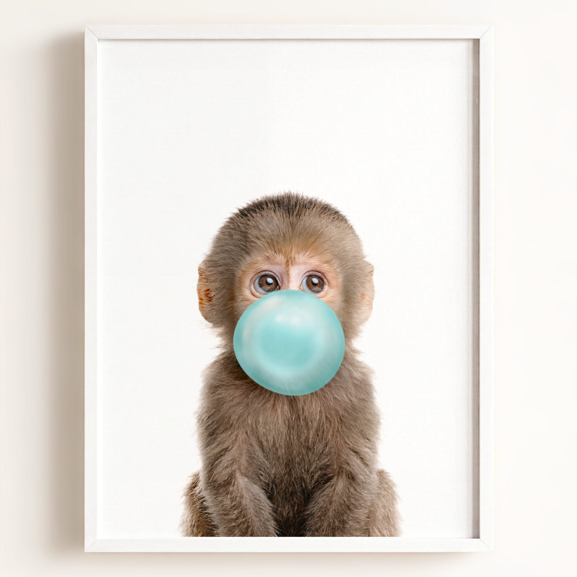 Baby Monkey