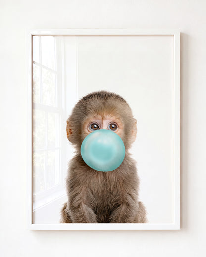 Baby Monkey