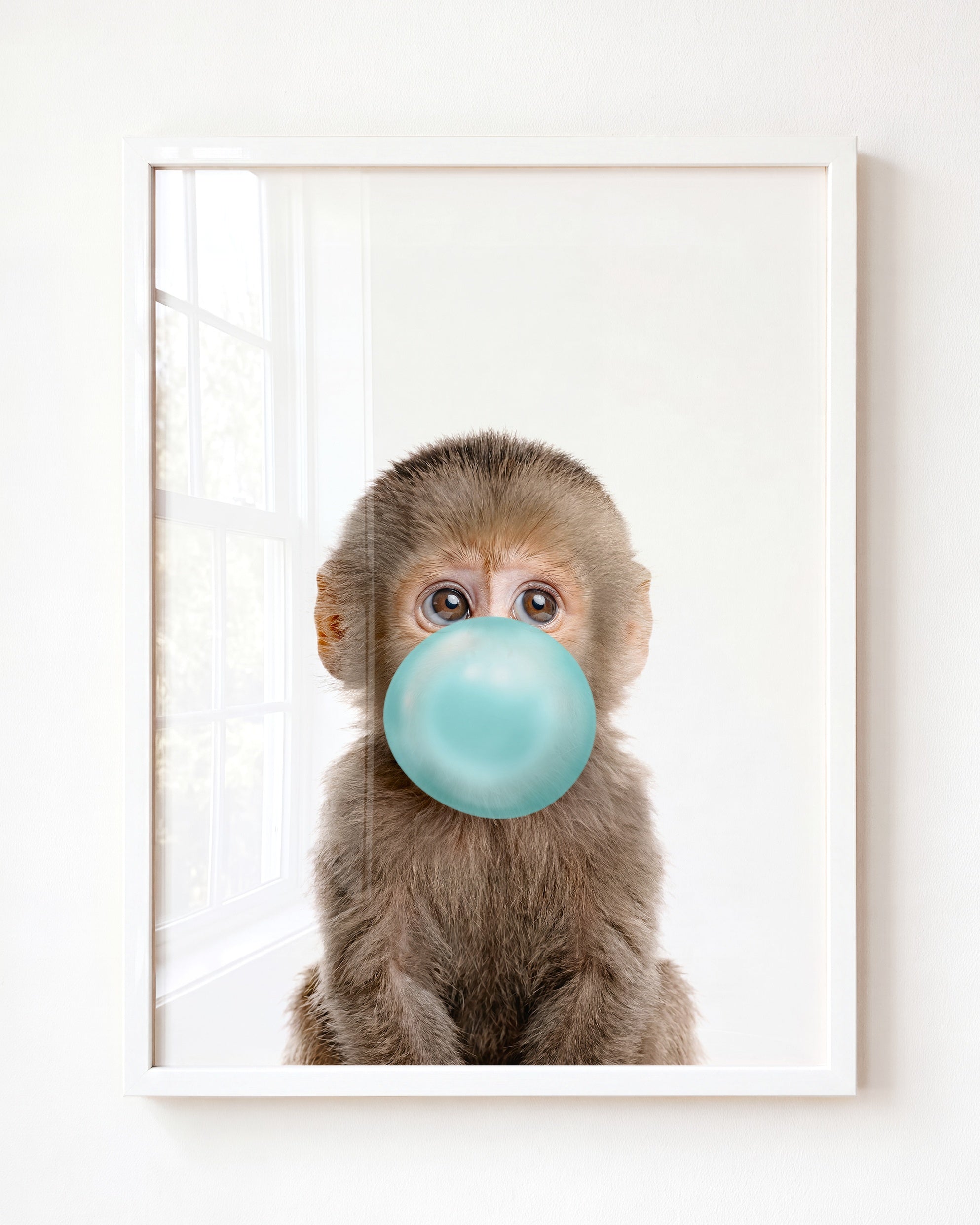 Baby Monkey