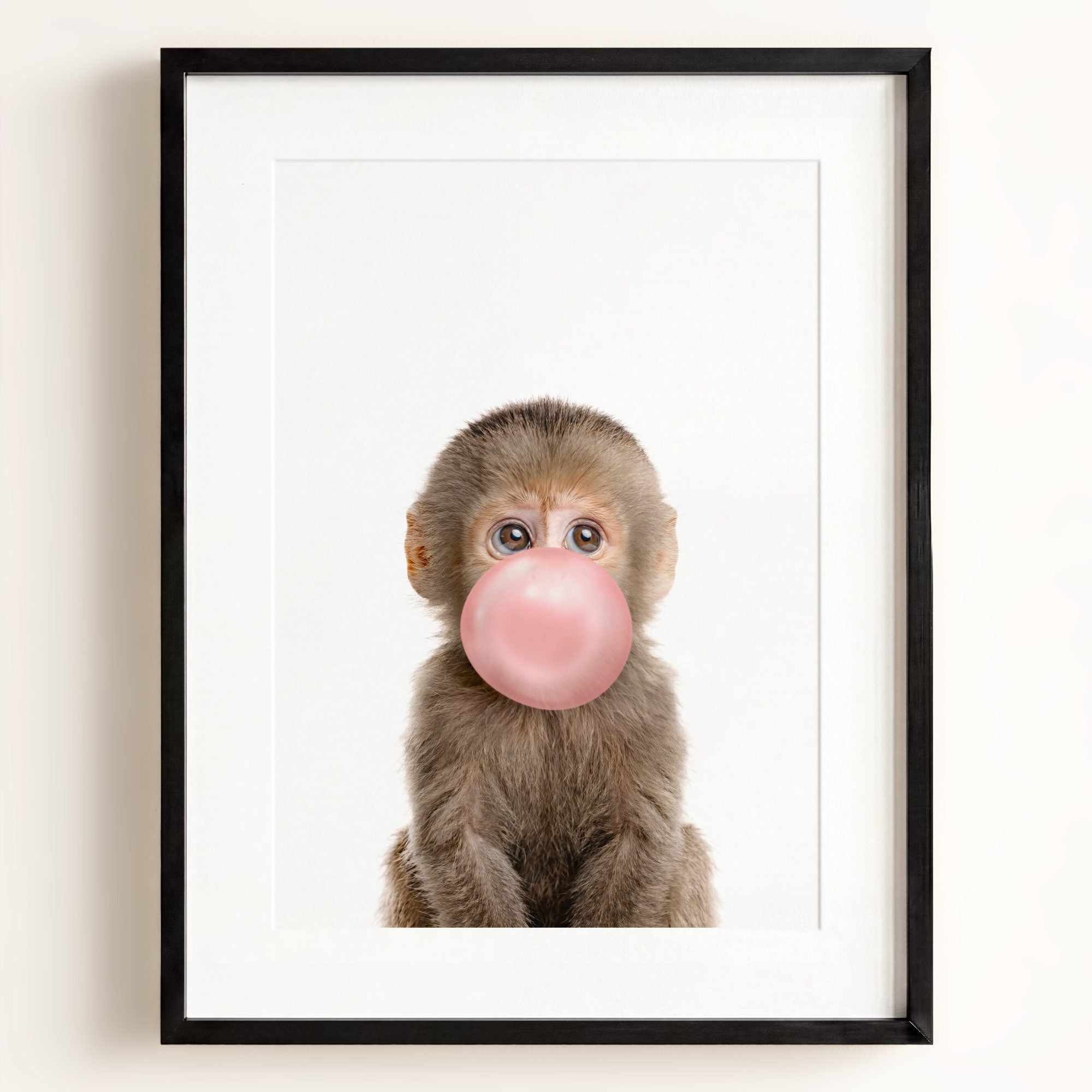 Baby Monkey