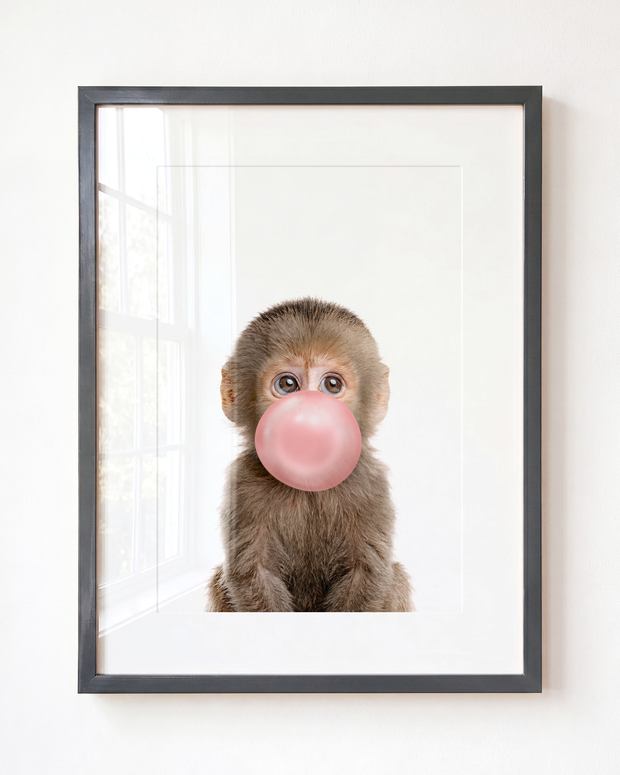 Baby Monkey