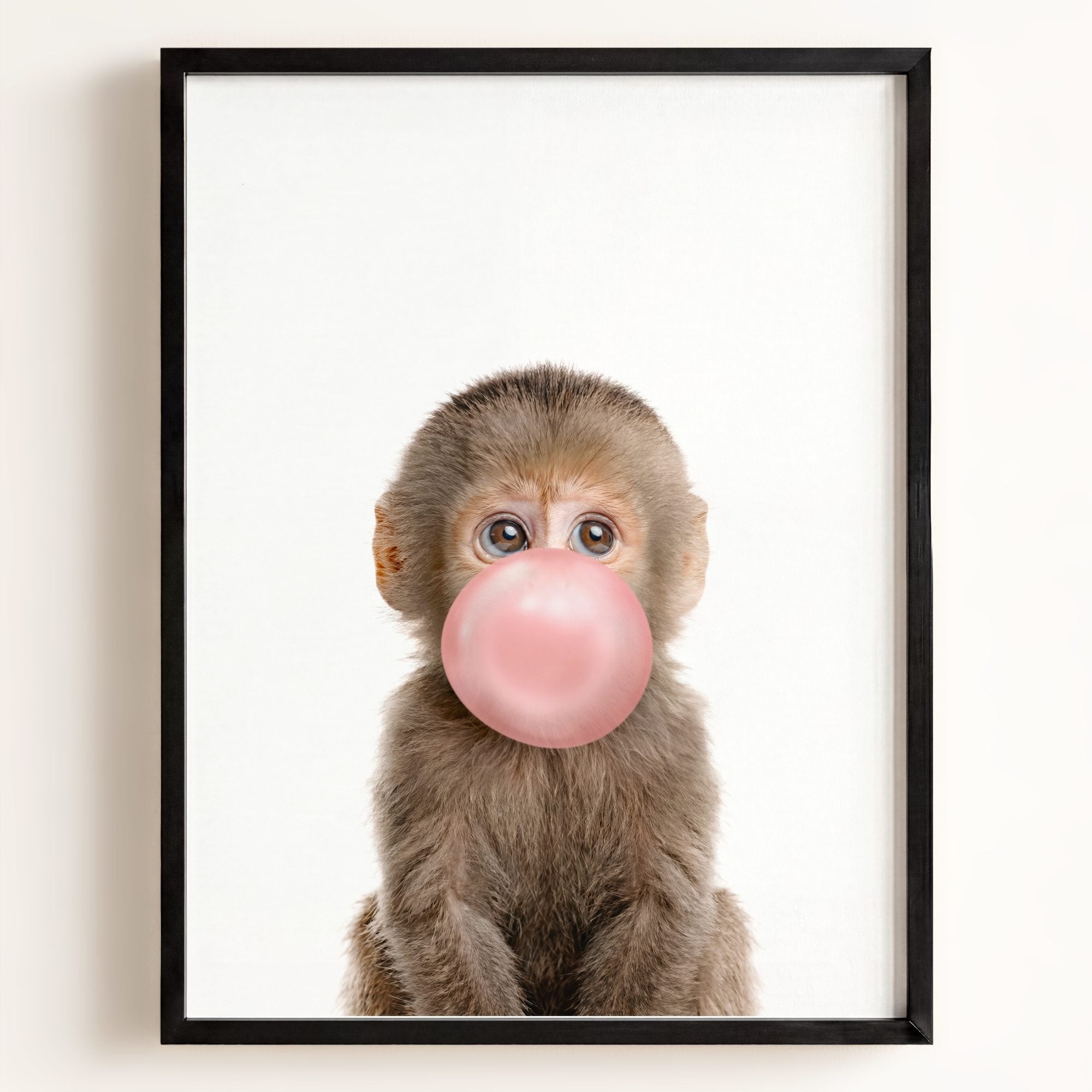 Baby Monkey