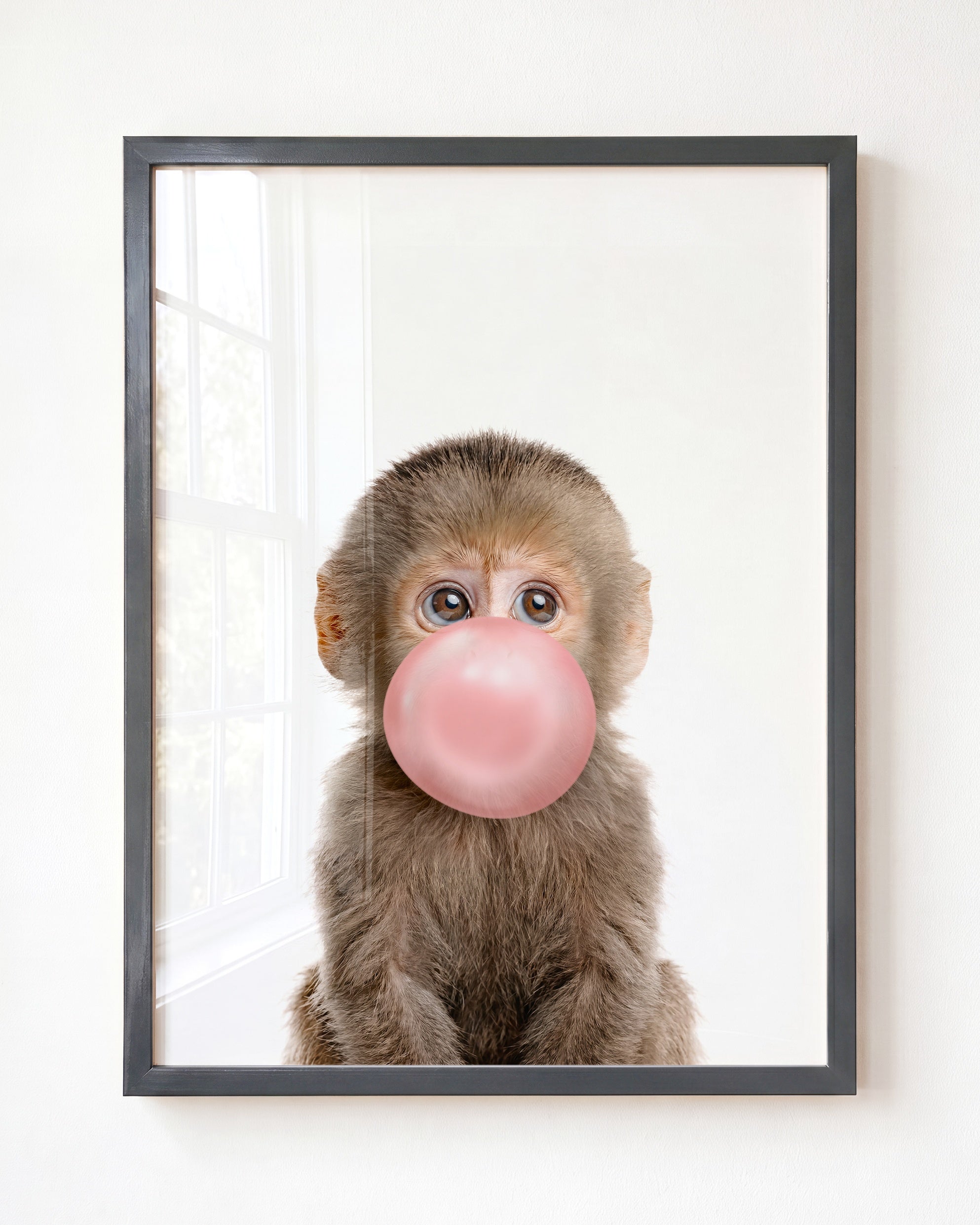 Baby Monkey