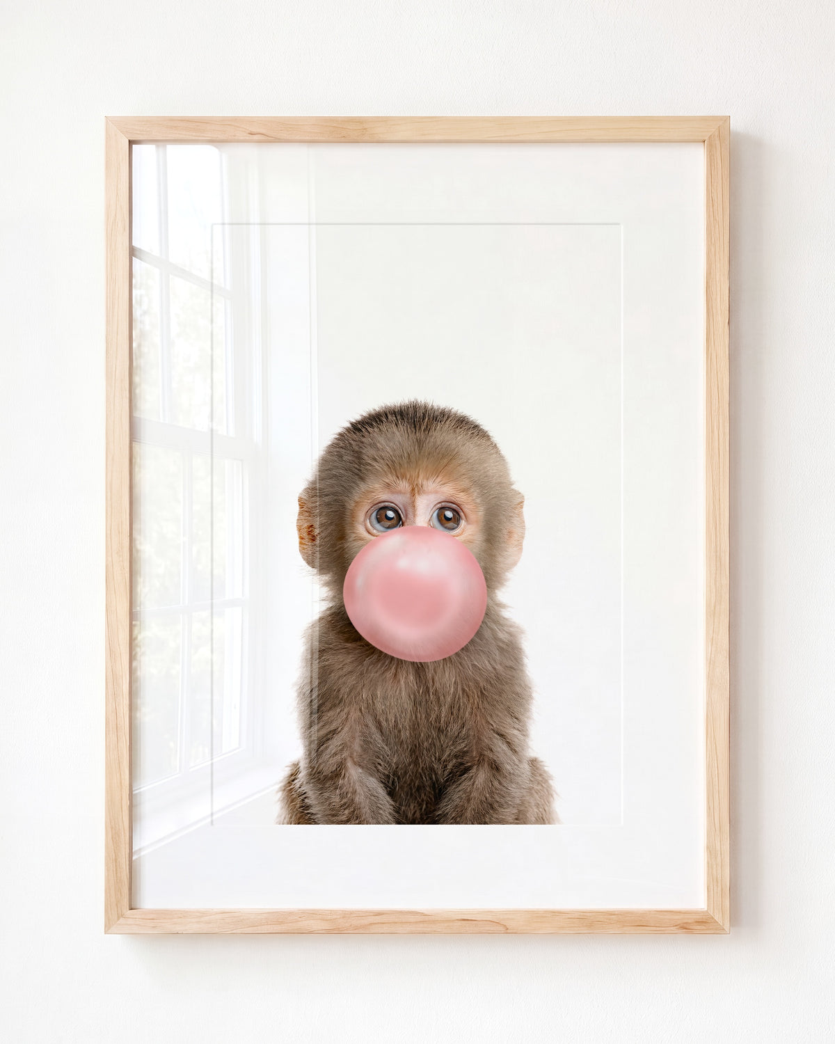 Baby Monkey