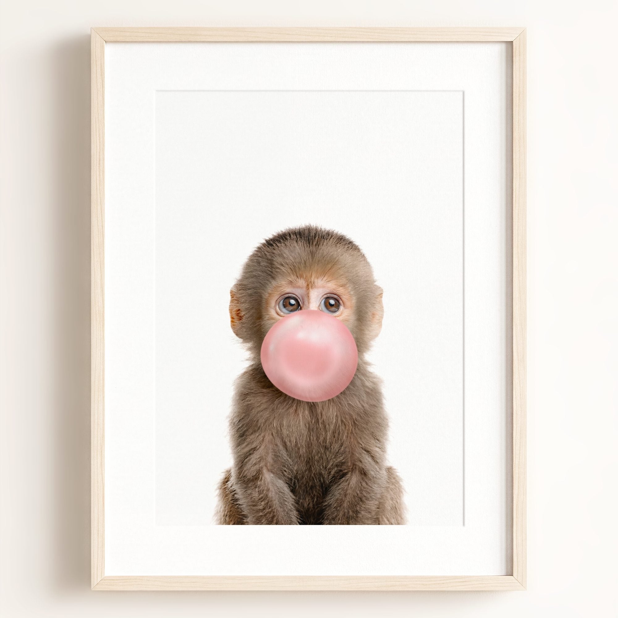 Baby Monkey