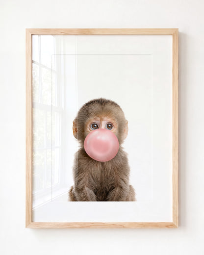 Baby Monkey