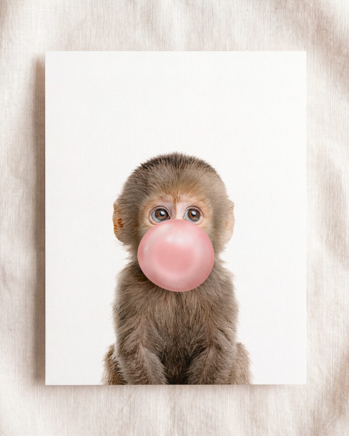 Baby Monkey