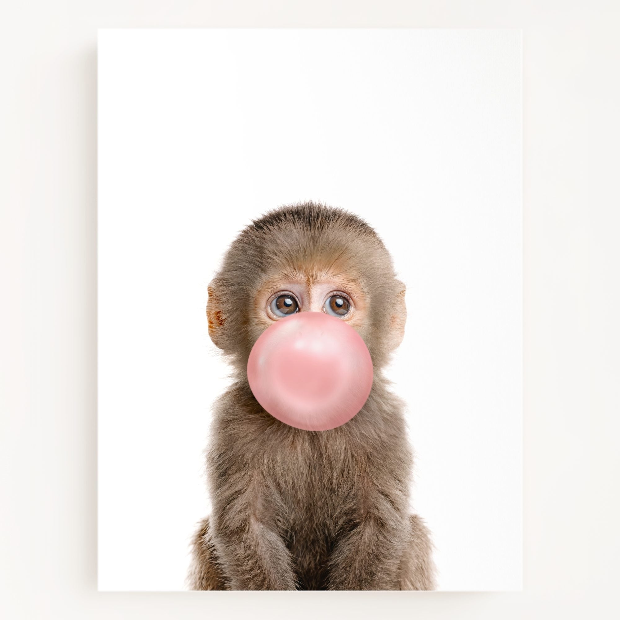 Baby Monkey