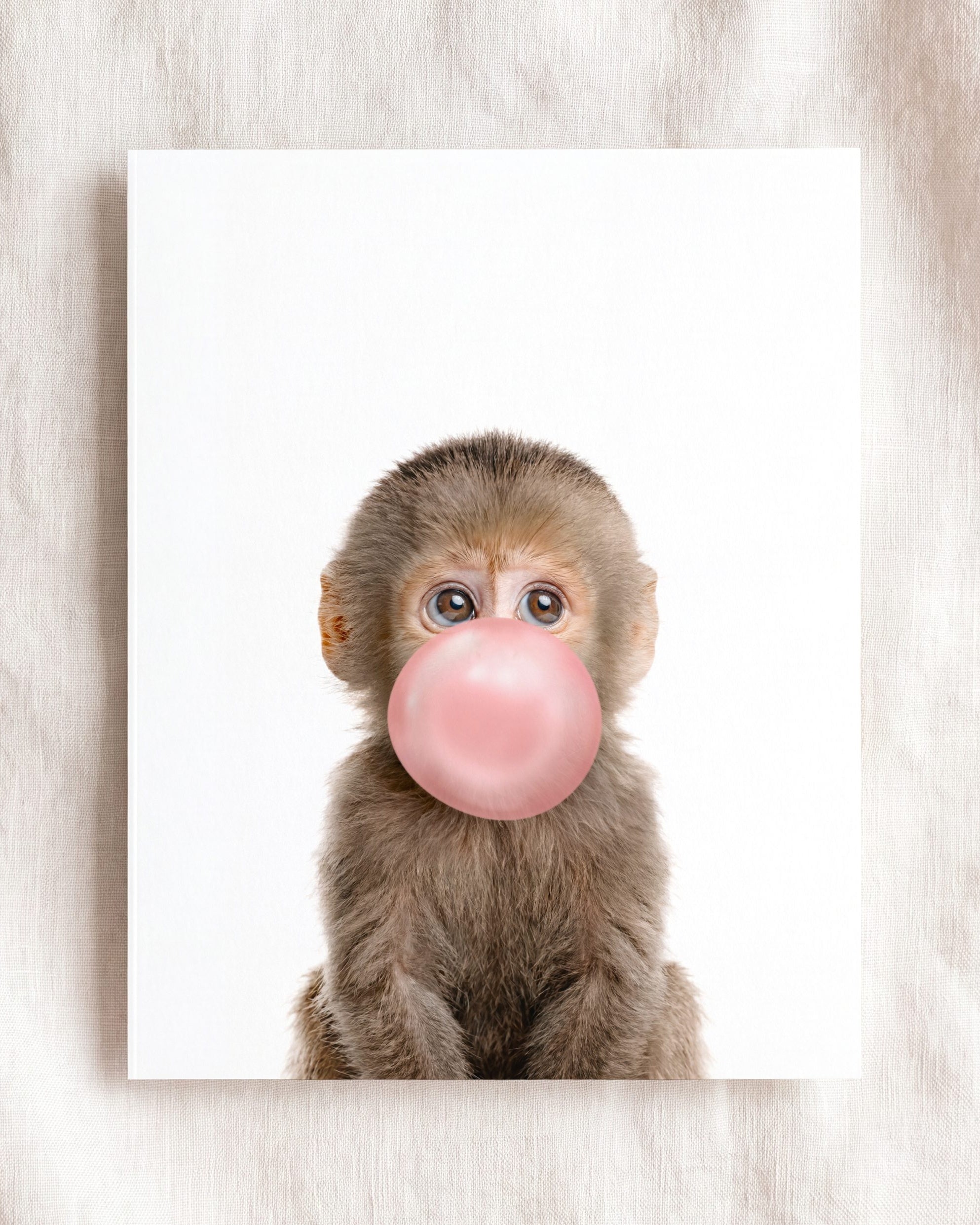 Baby Monkey