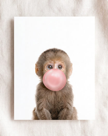 Baby Monkey