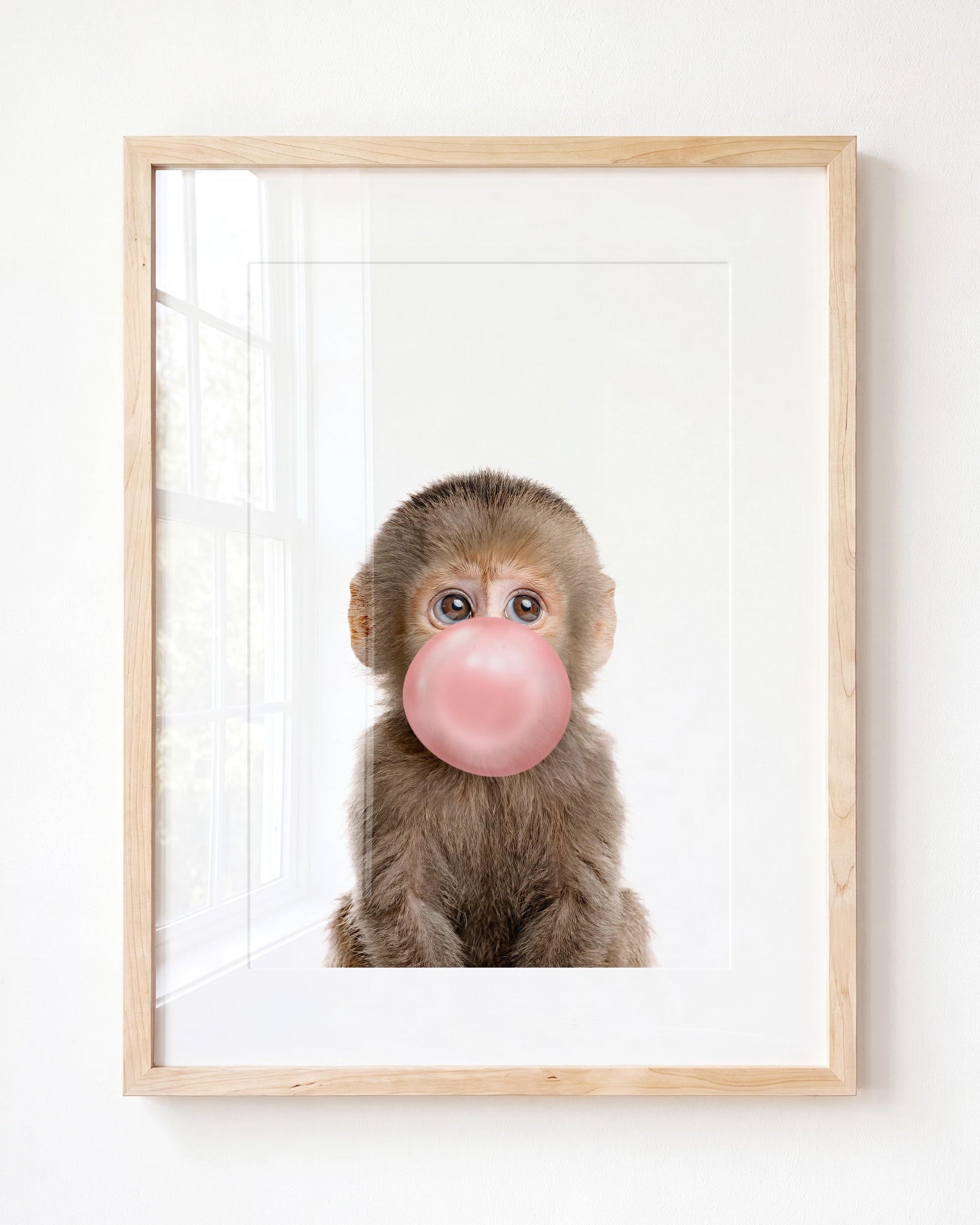 Baby Monkey