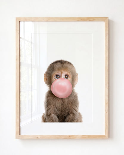 Baby Monkey