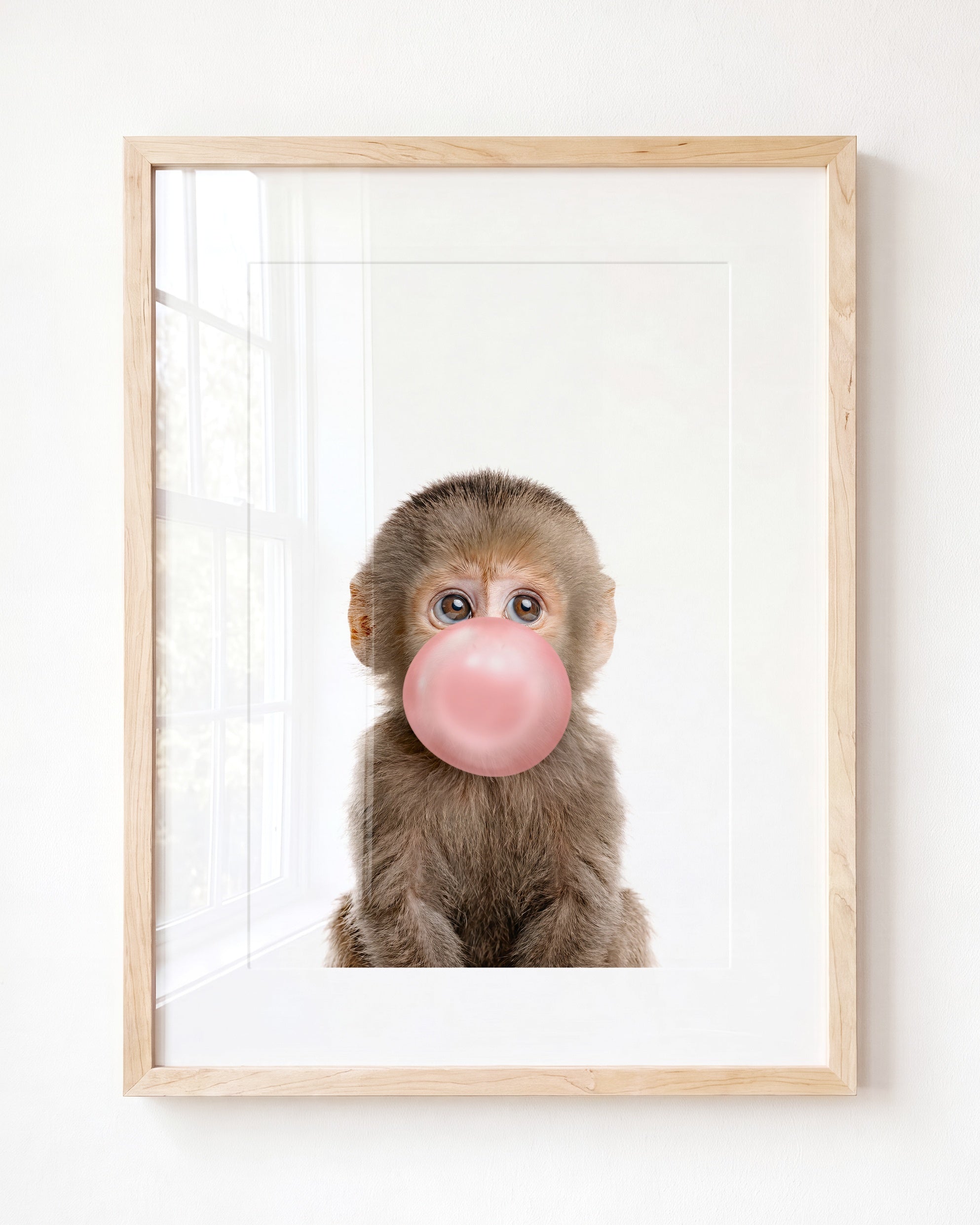 Baby Monkey
