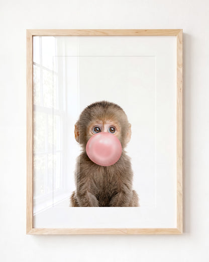 Baby Monkey