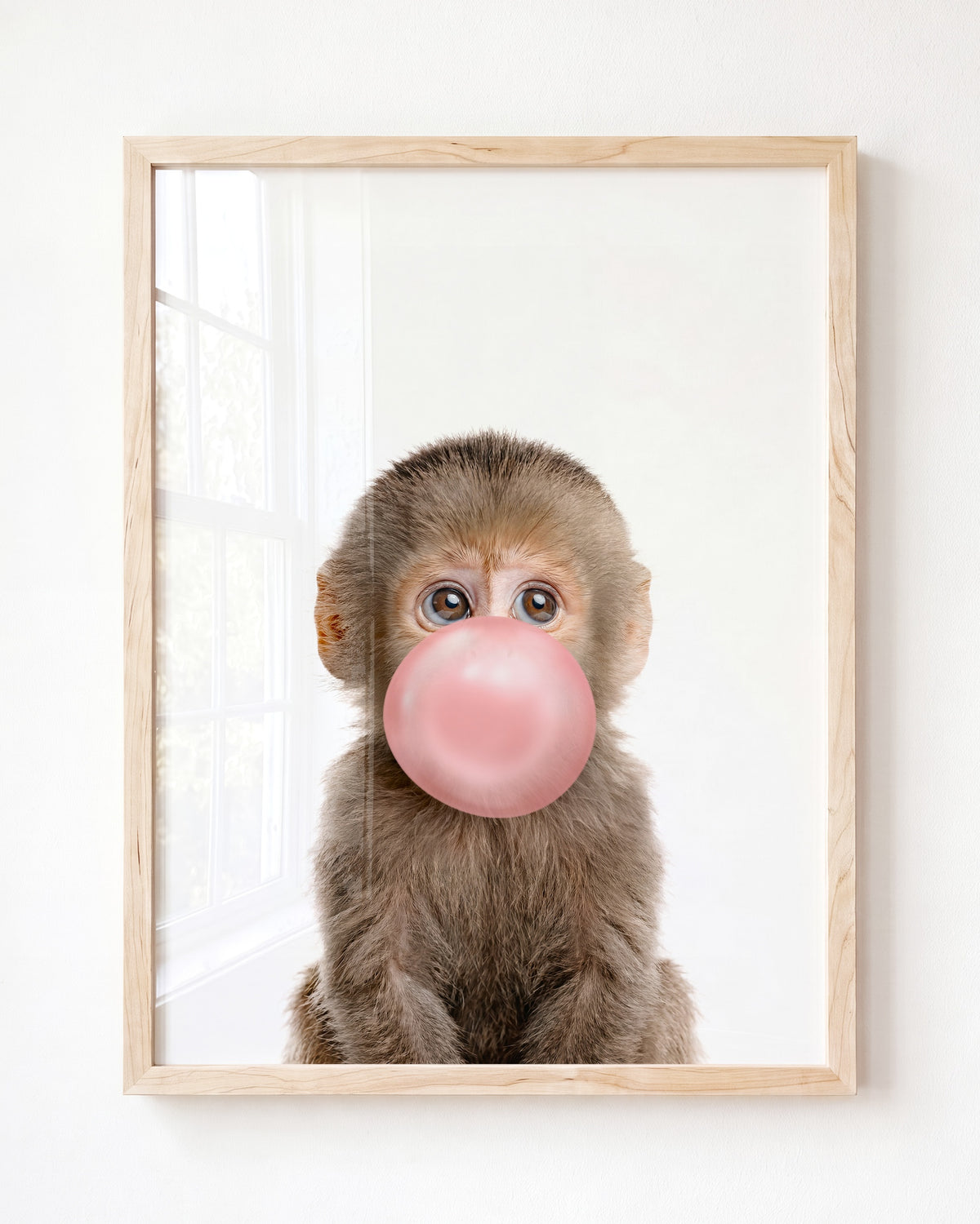 Baby Monkey