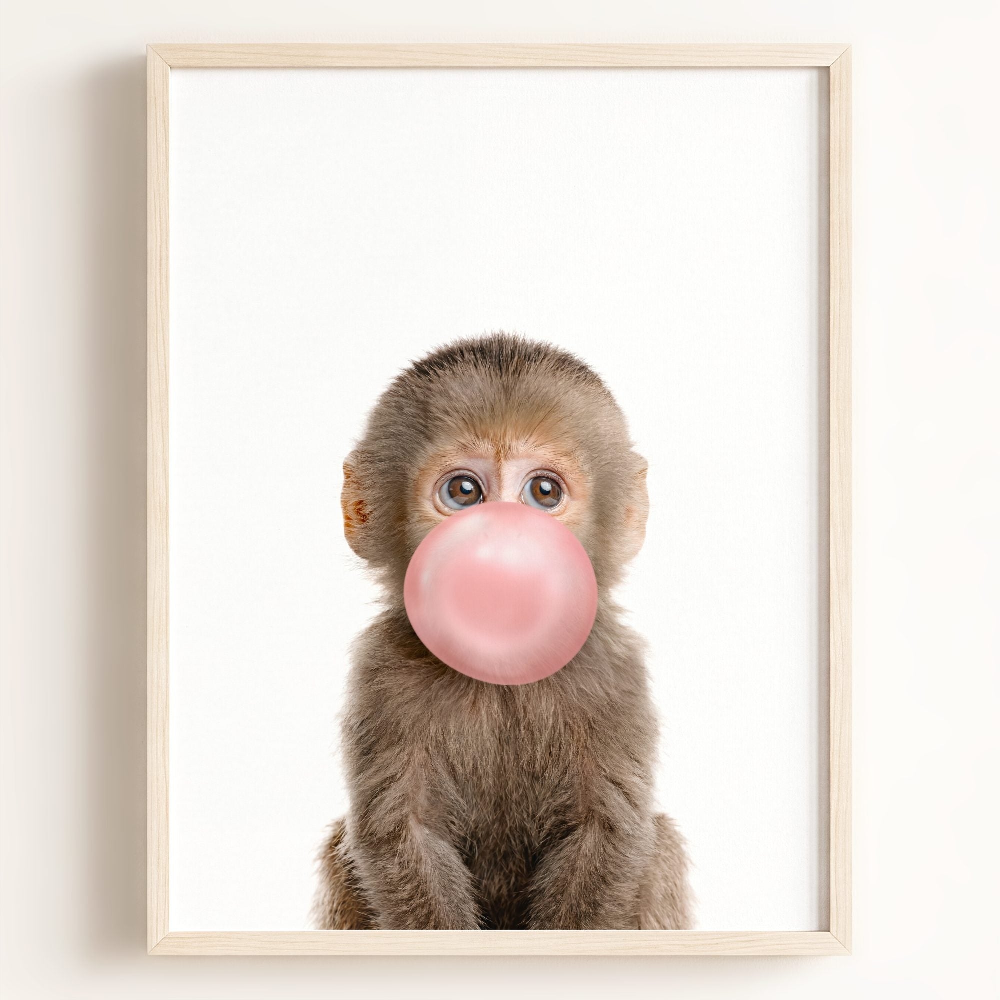 Baby Monkey