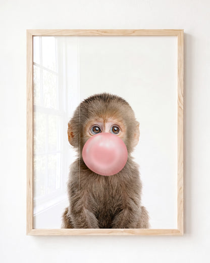 Baby Monkey