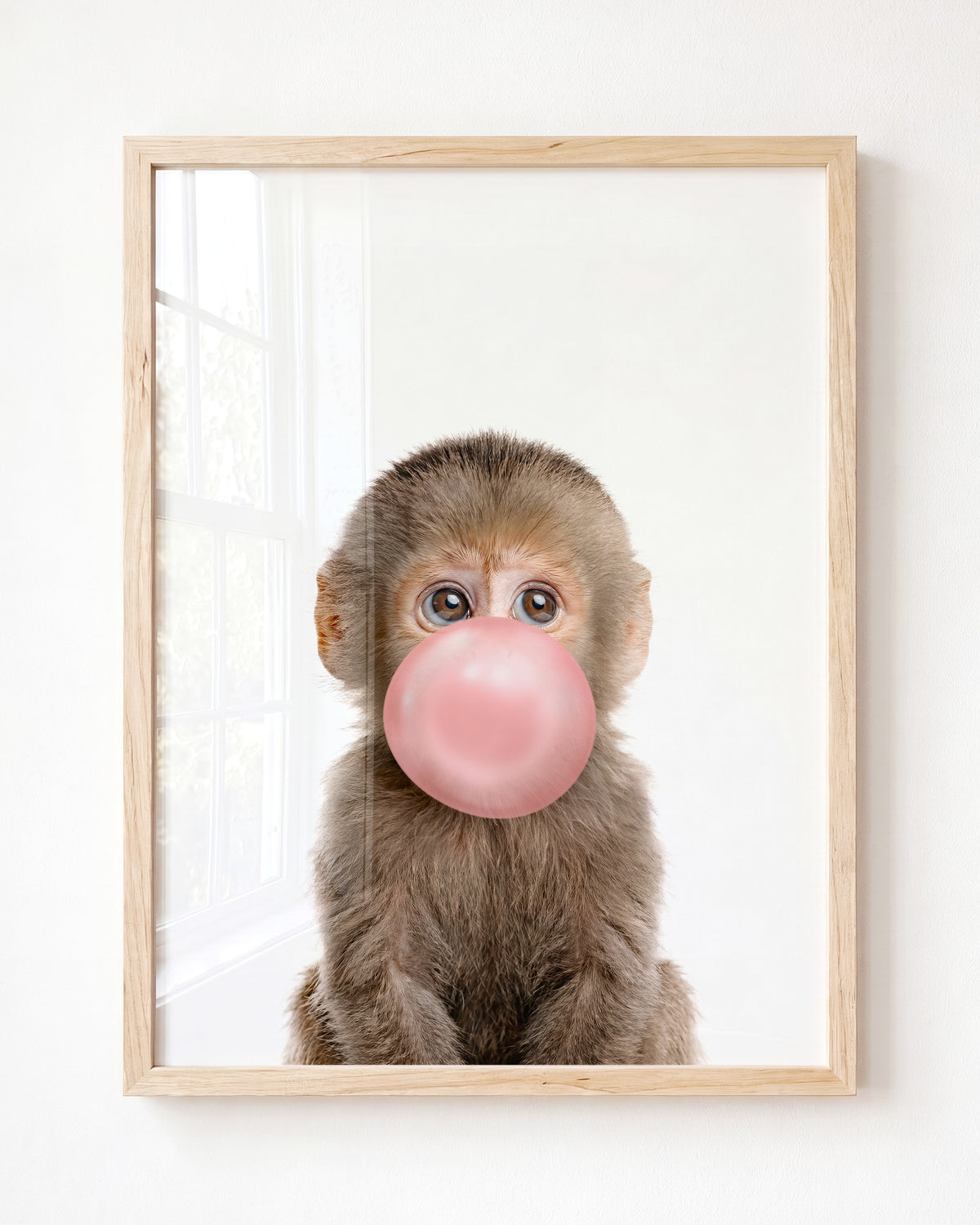 Baby Monkey