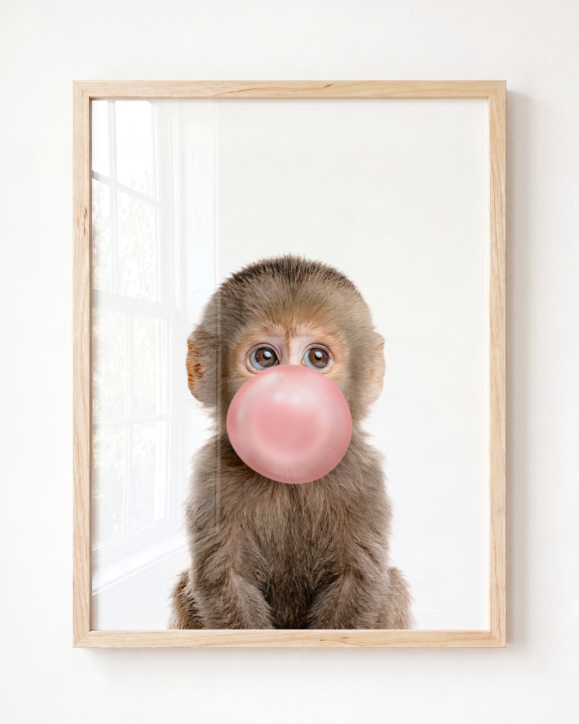 Baby Monkey