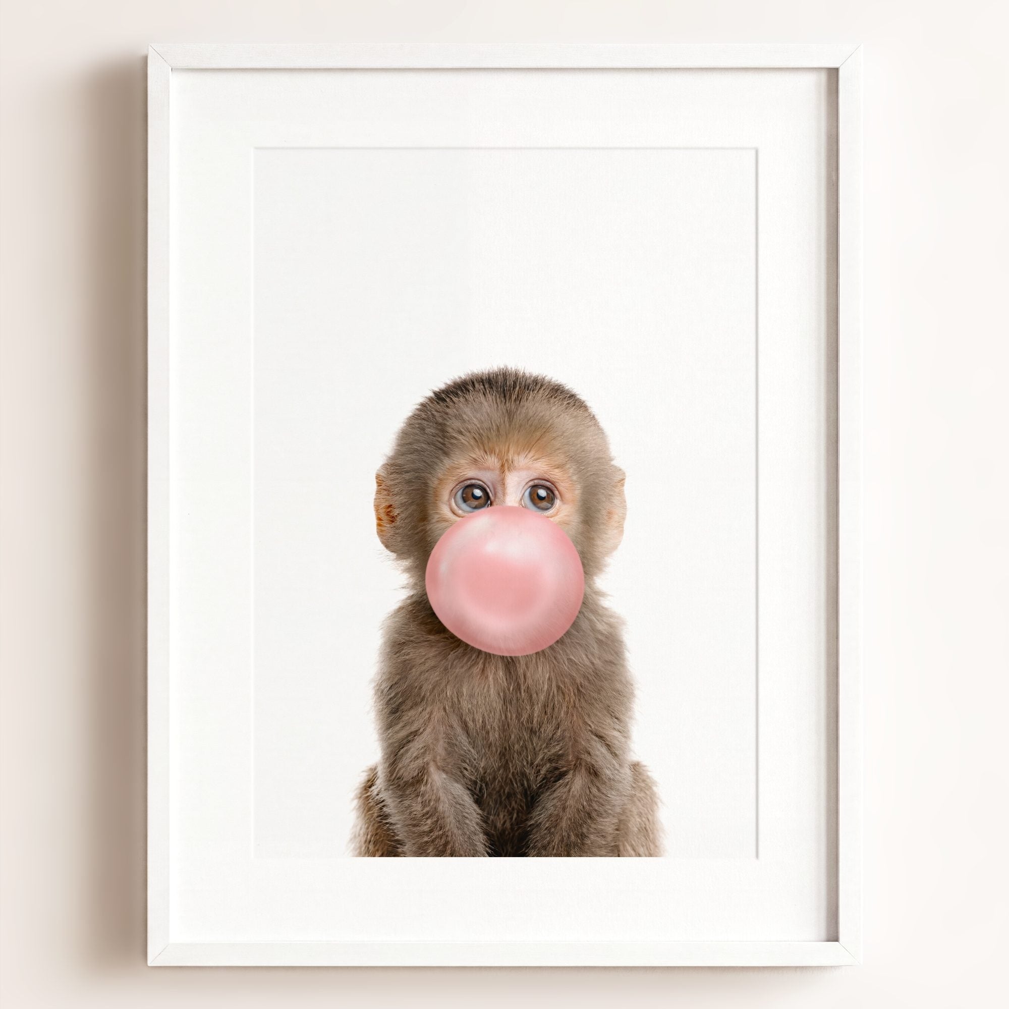 Baby Monkey