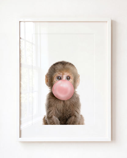 Baby Monkey