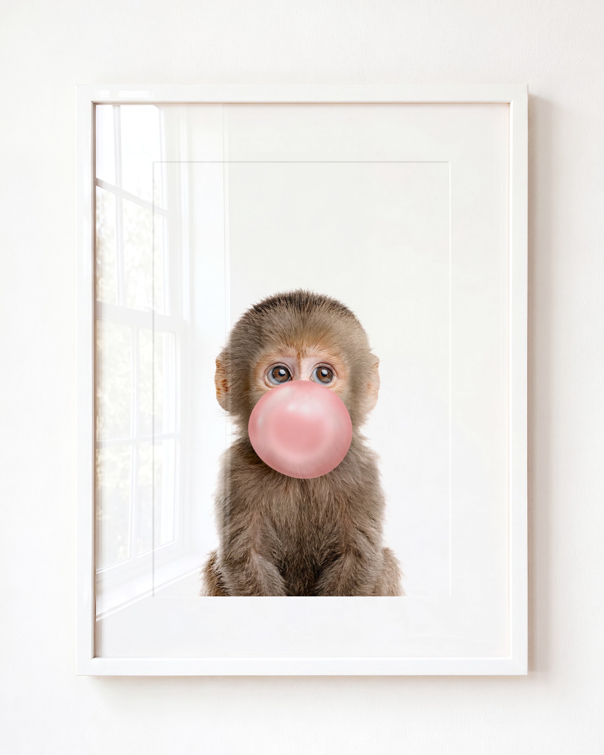 Baby Monkey