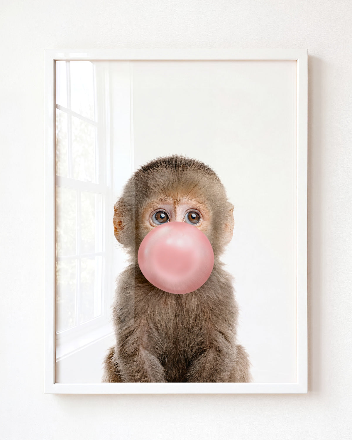 Baby Monkey