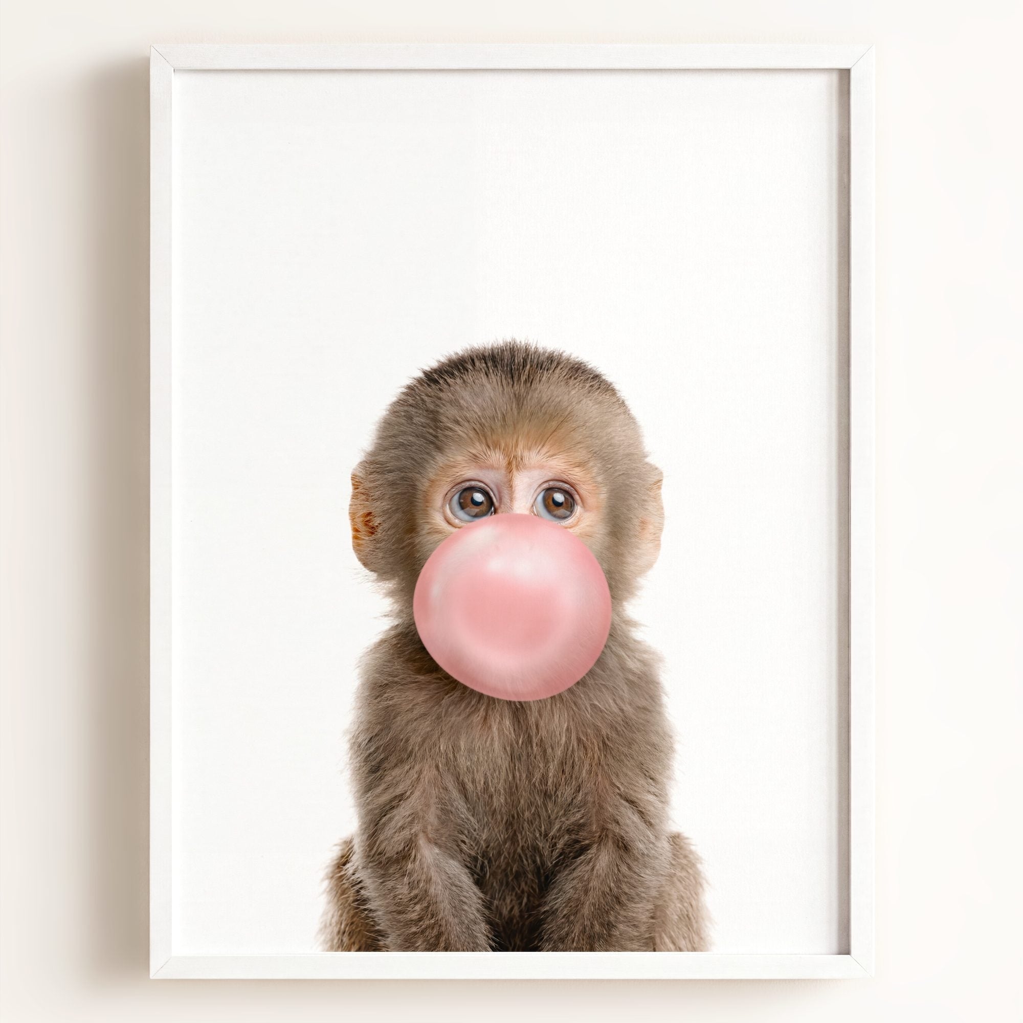 Baby Monkey