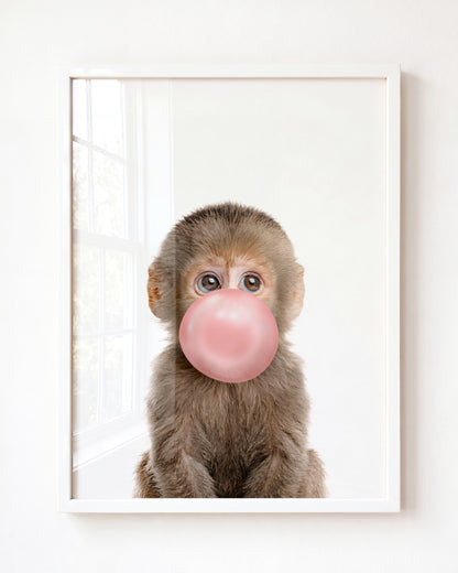 Baby Monkey