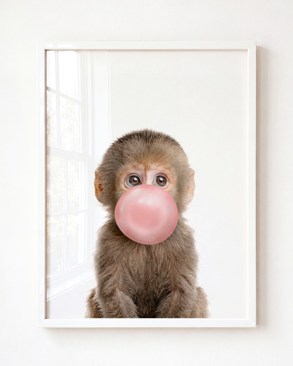 Baby Monkey