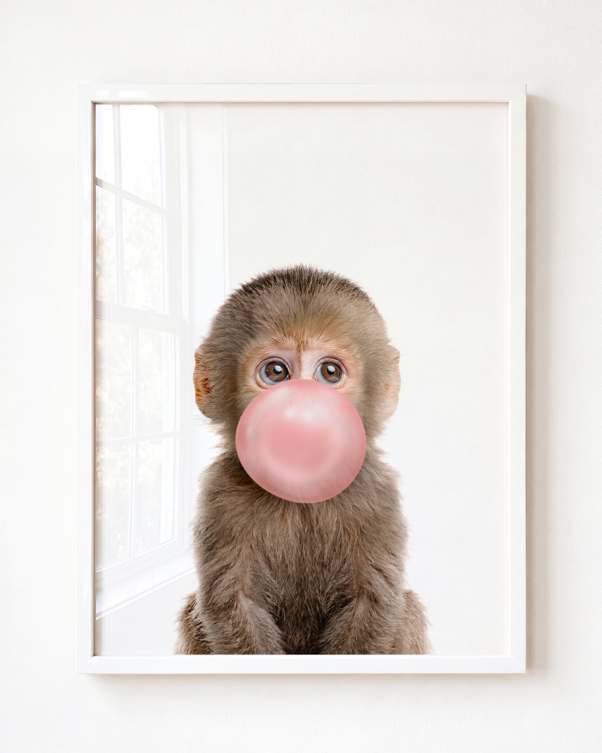 Baby Monkey