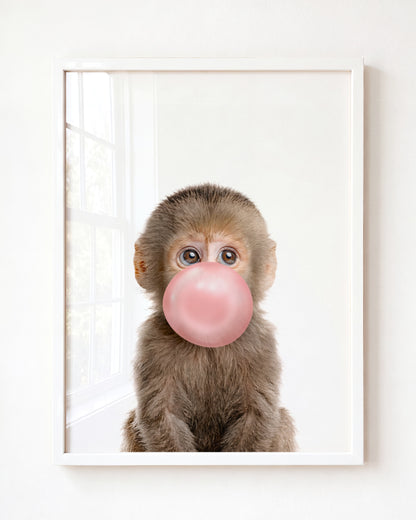 Baby Monkey