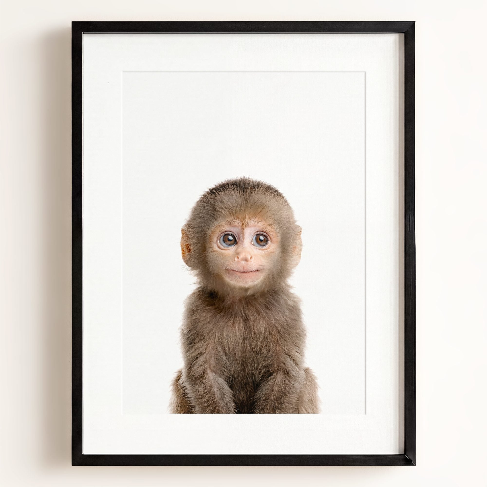 Baby Monkey