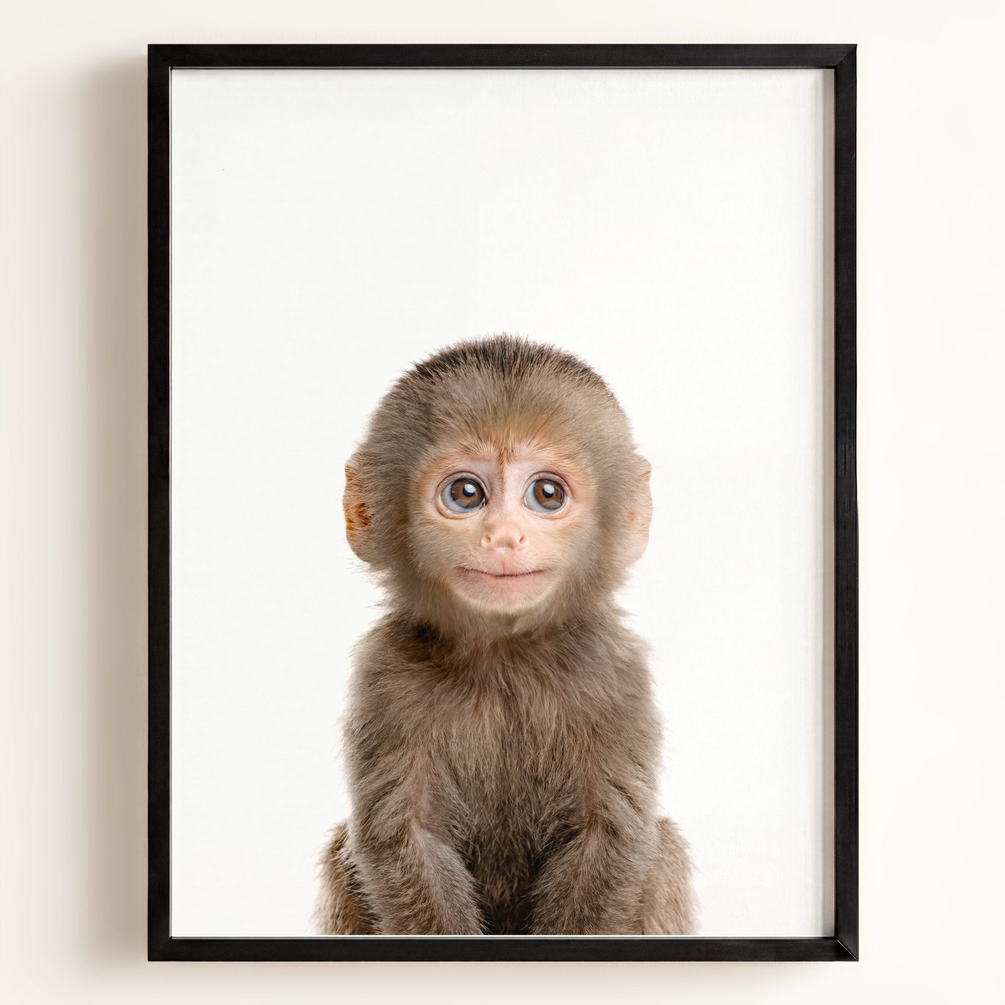 Baby Monkey