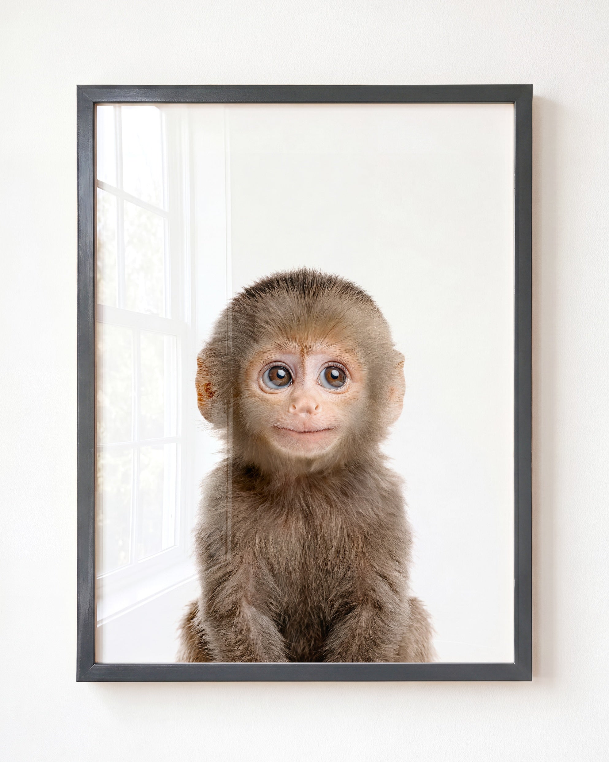 Baby Monkey