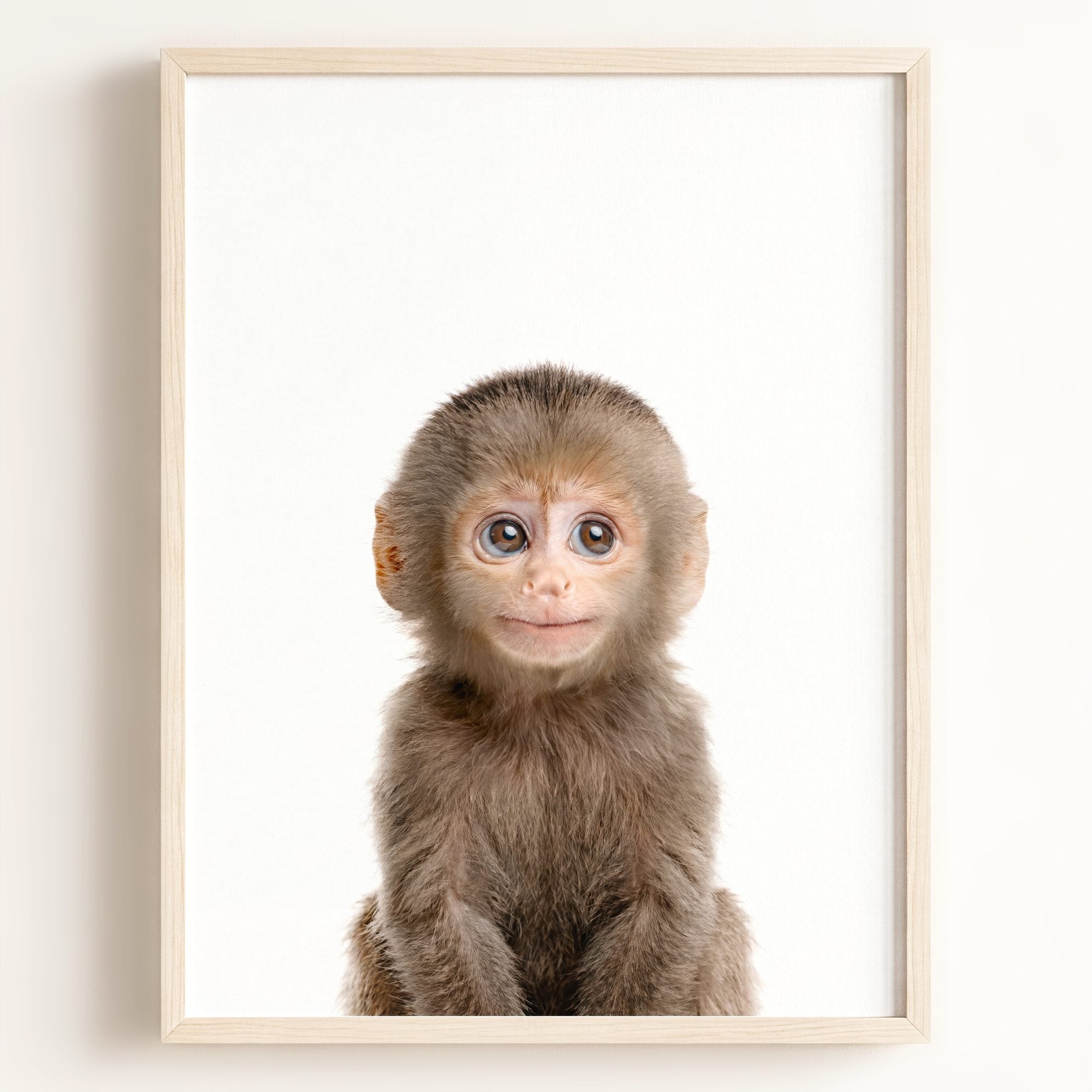 Baby Monkey