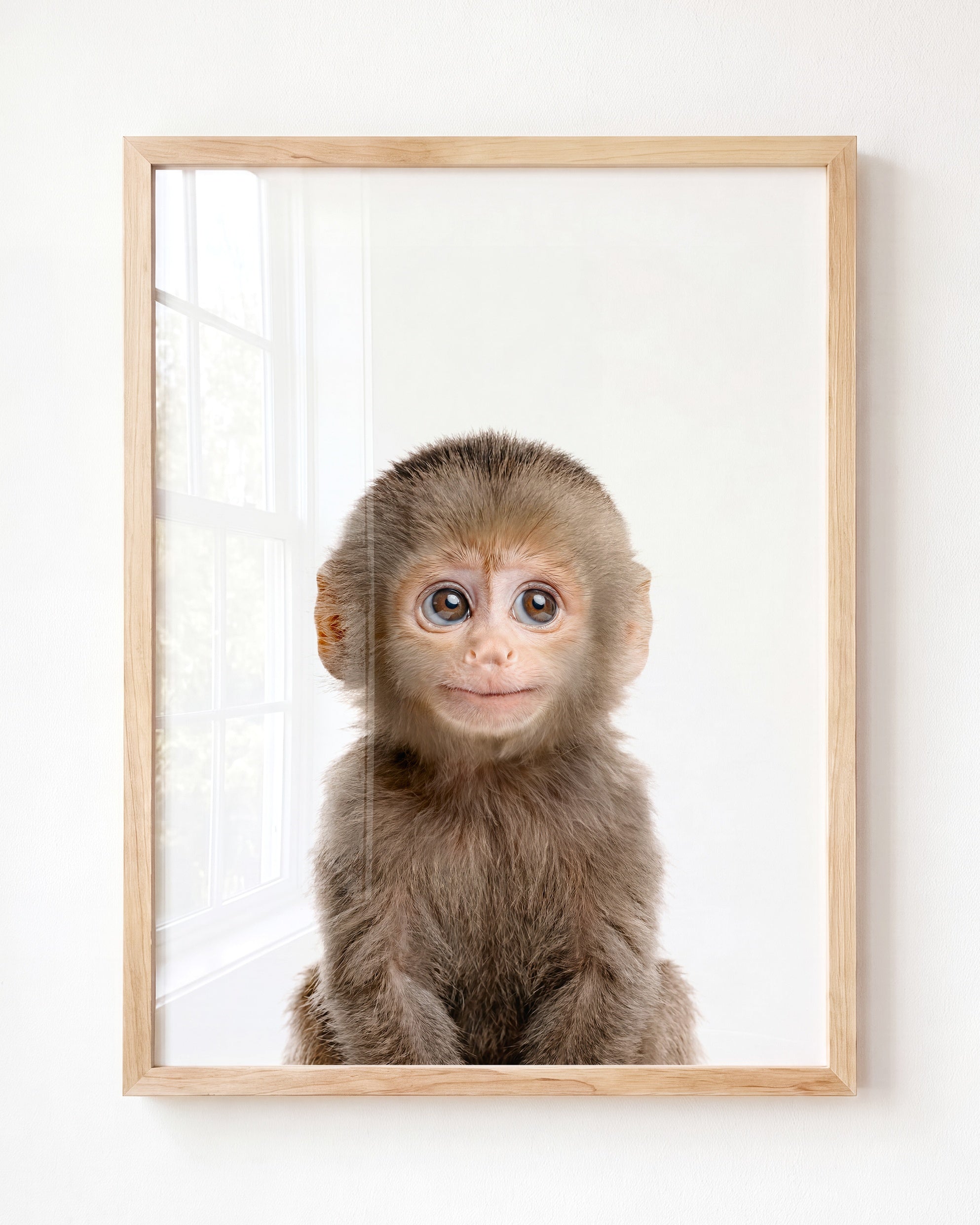 Baby Monkey