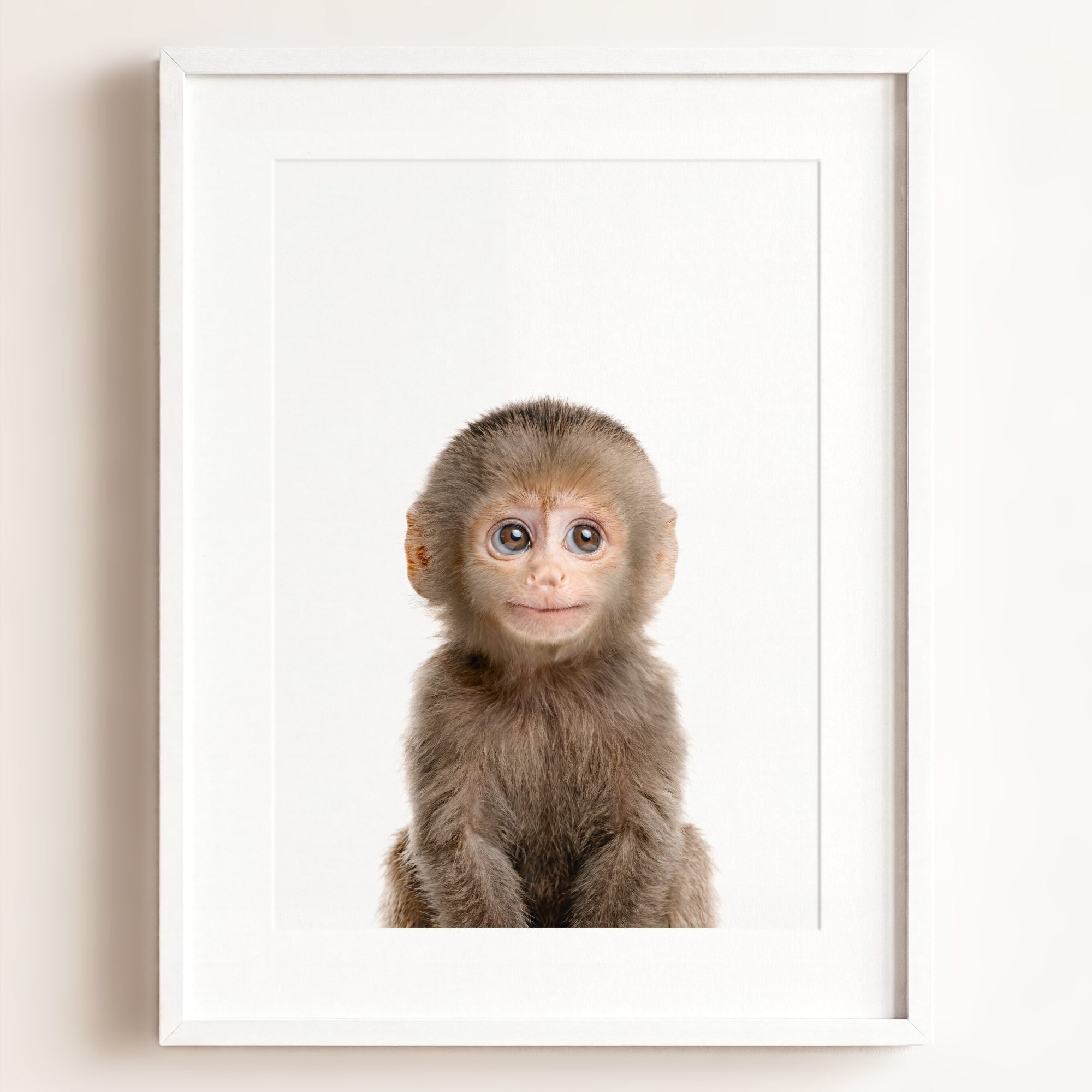 Baby Monkey