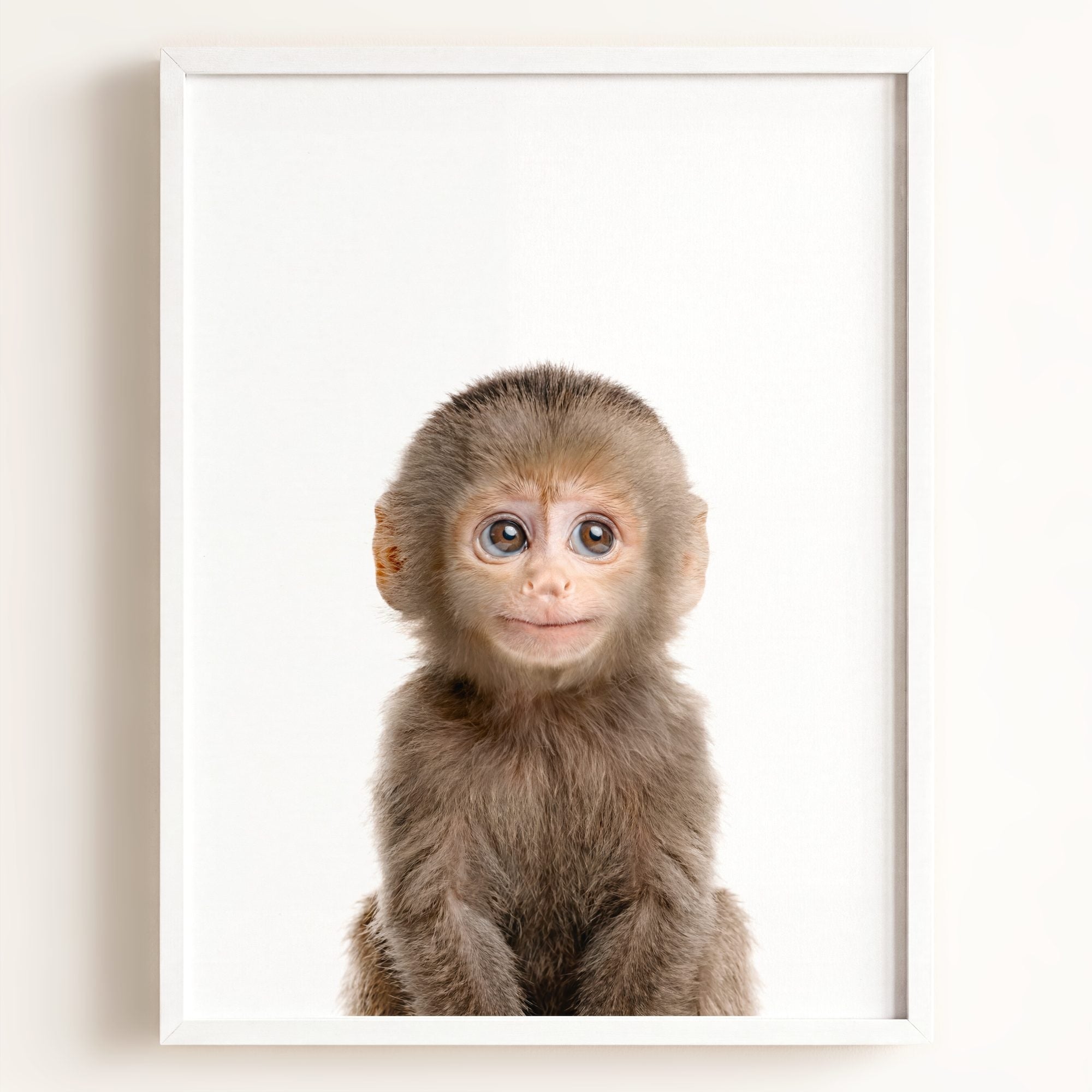 Baby Monkey