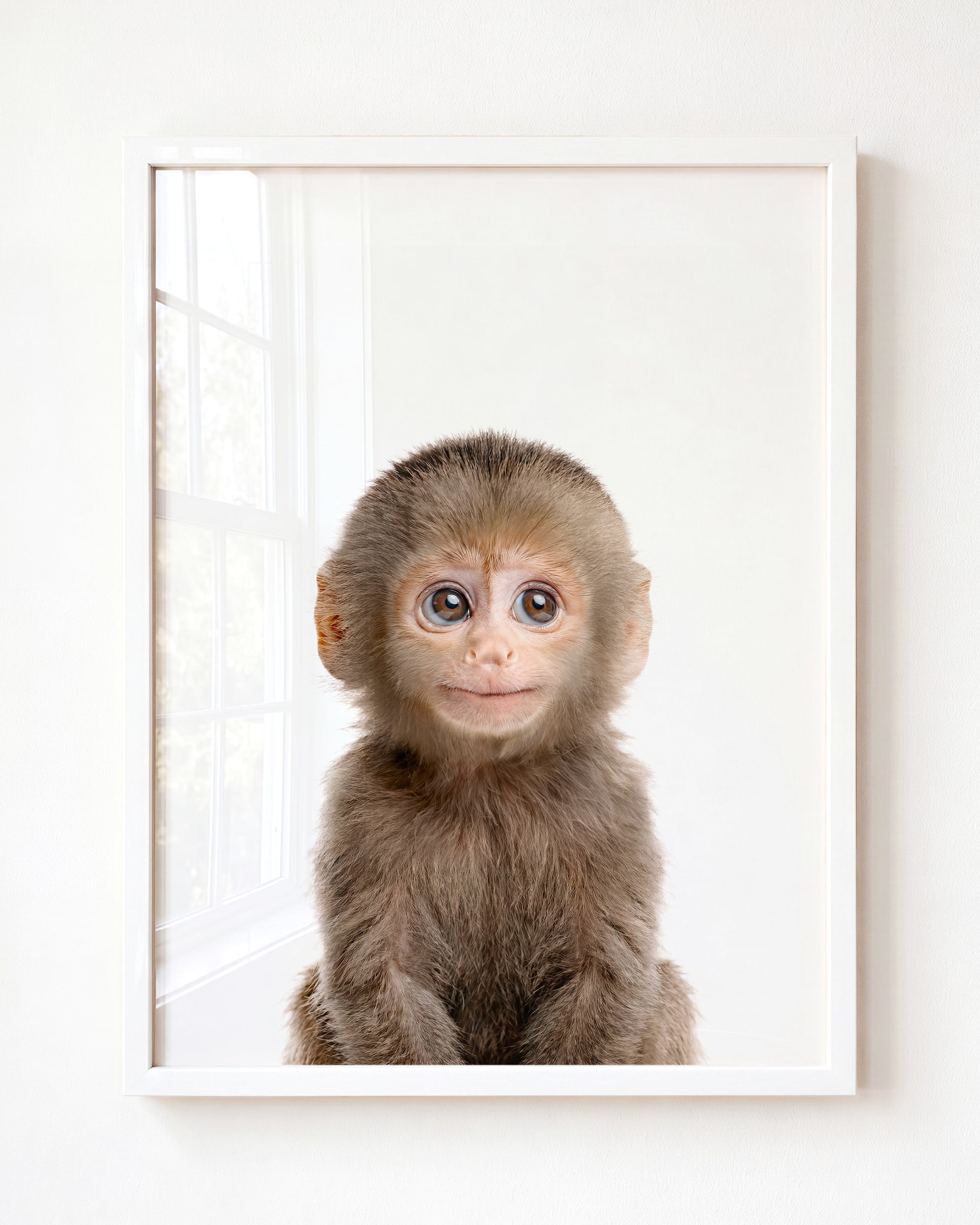 Baby Monkey