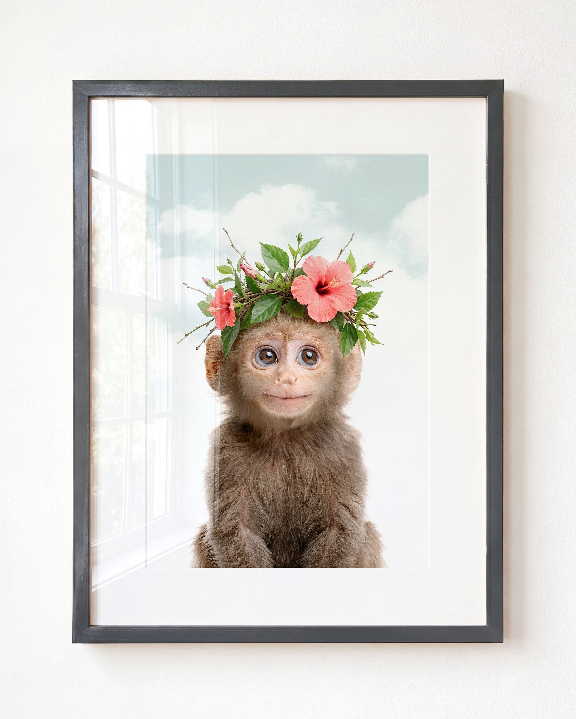 Baby Monkey