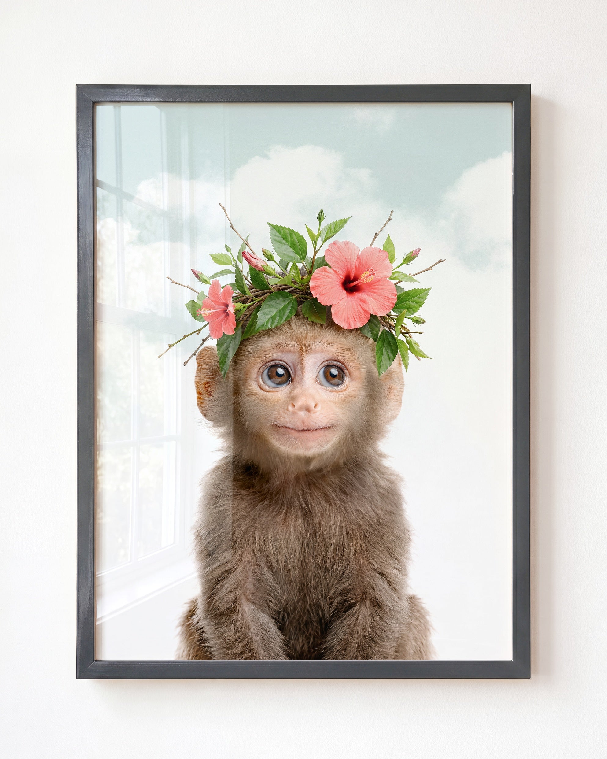 Baby Monkey