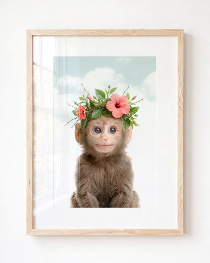 Baby Monkey