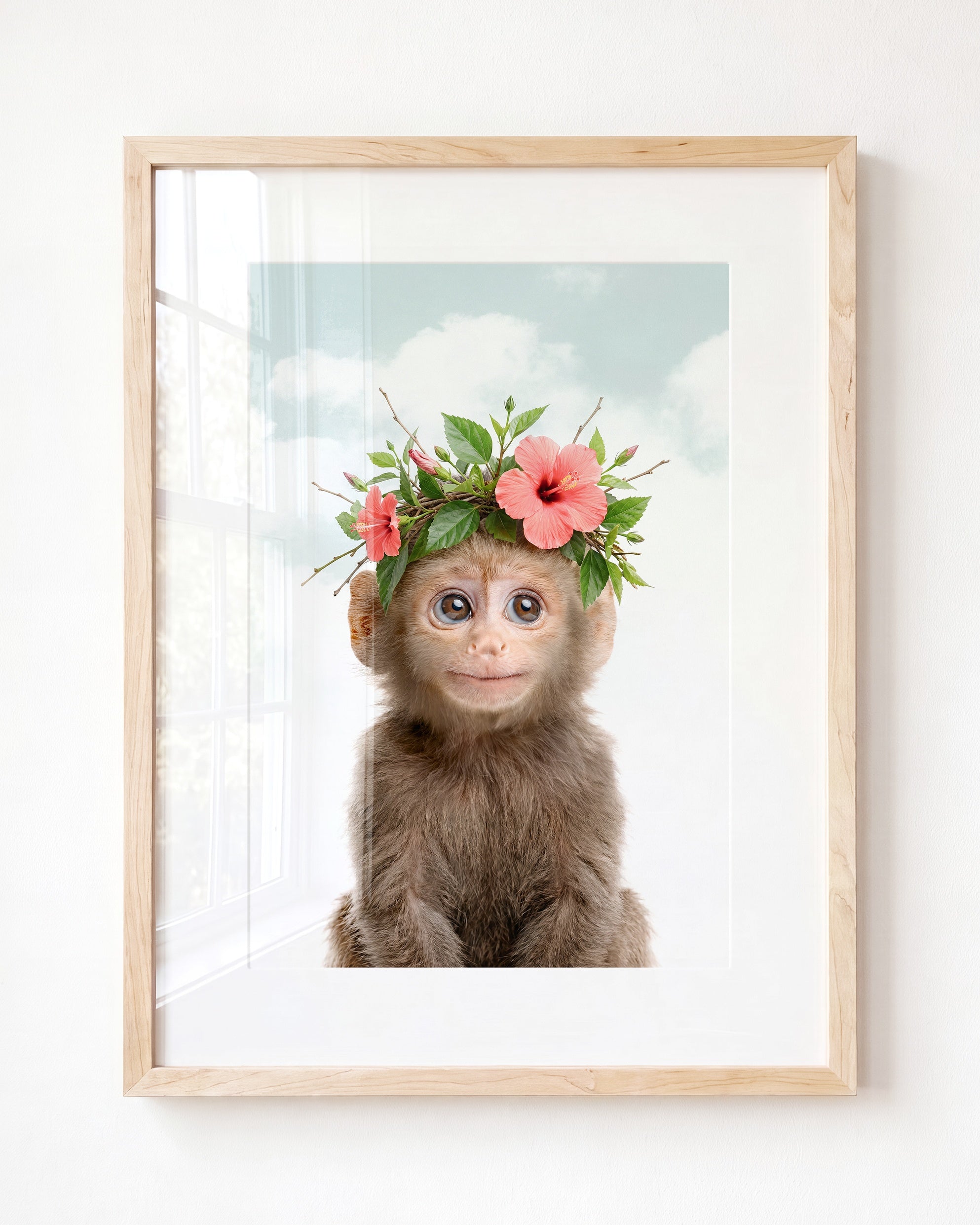 Baby Monkey