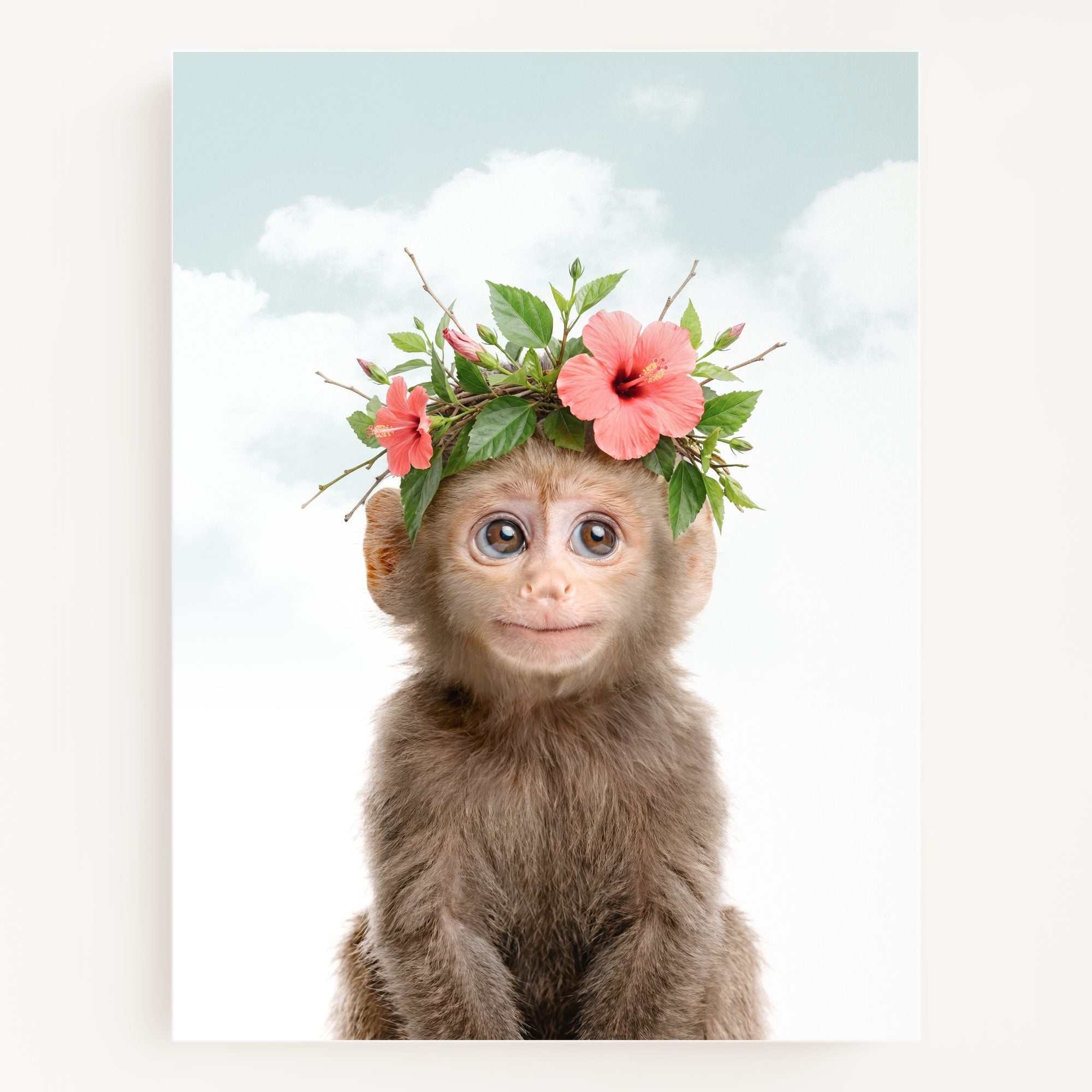 Baby Monkey
