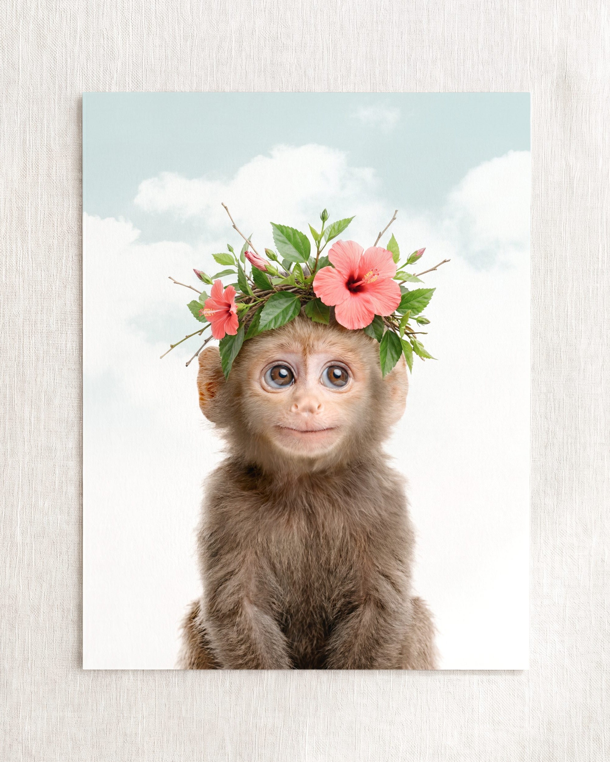 Baby Monkey