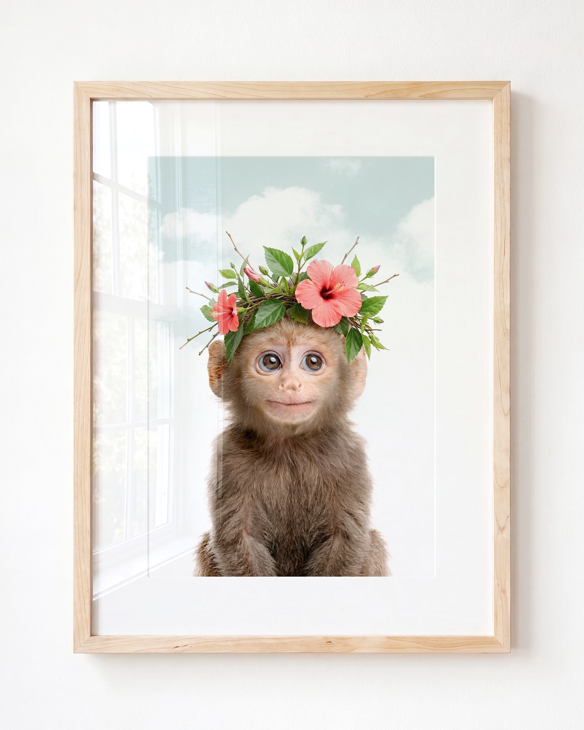 Baby Monkey