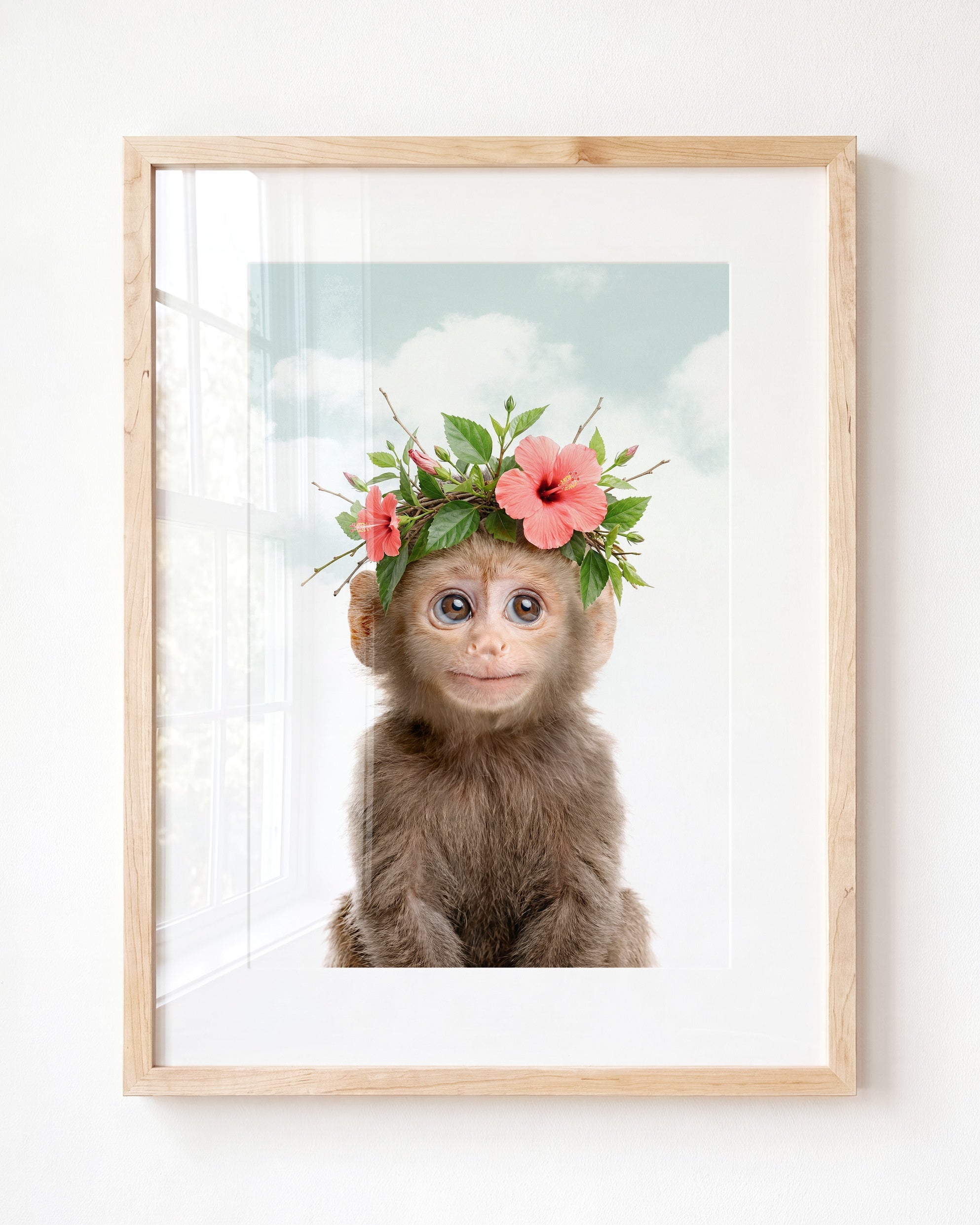 Baby Monkey