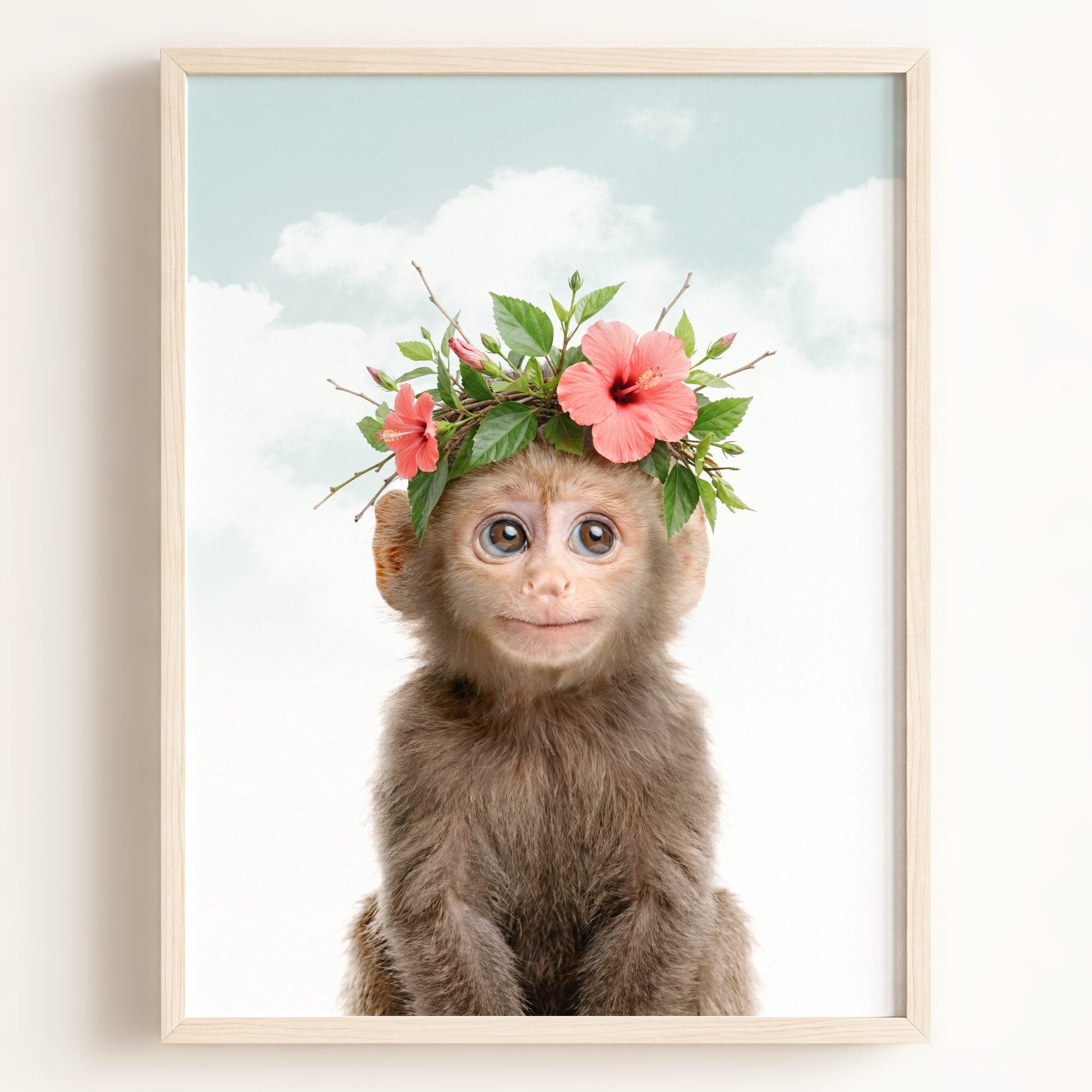 Baby Monkey